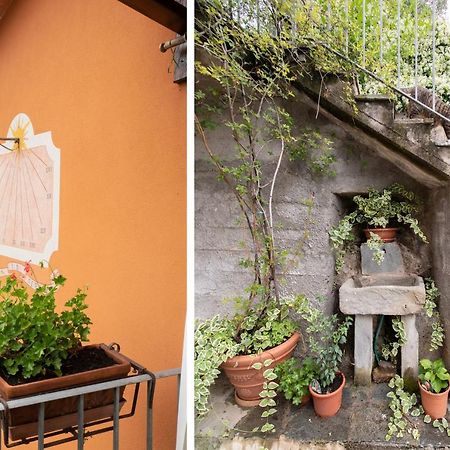 Casetta Di Butia, Ginestra Apartment With Swimming Pool Borgo a Mozzano Εξωτερικό φωτογραφία