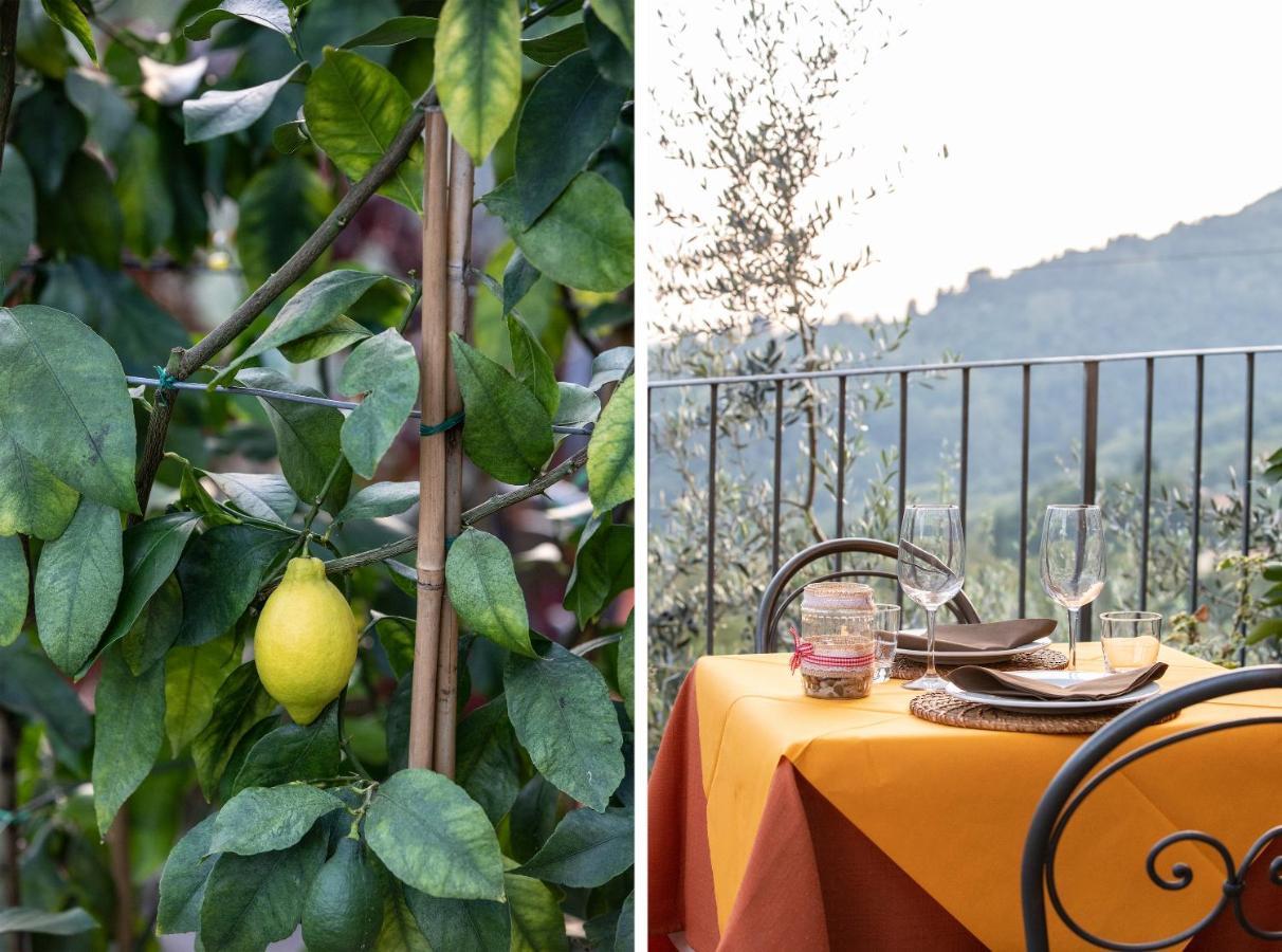 Casetta Di Butia, Ginestra Apartment With Swimming Pool Borgo a Mozzano Εξωτερικό φωτογραφία