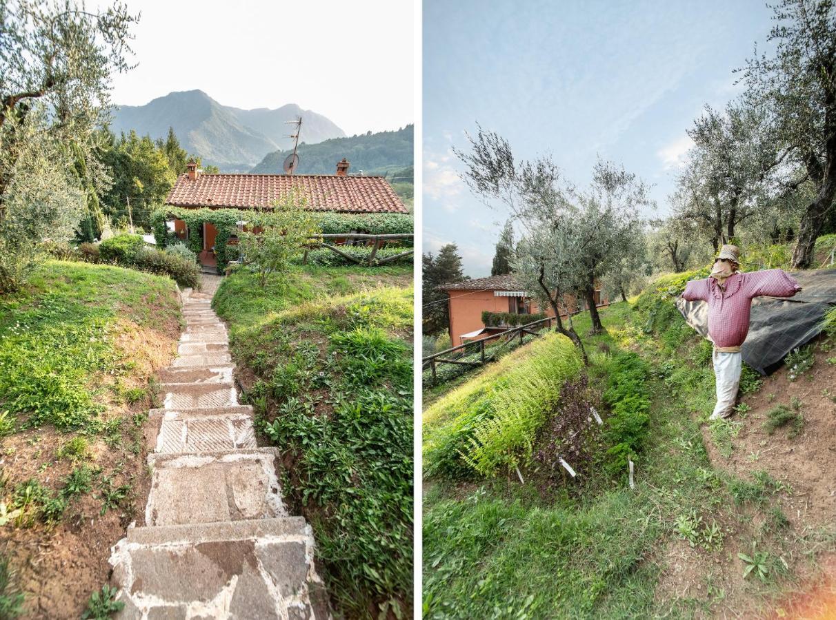 Casetta Di Butia, Ginestra Apartment With Swimming Pool Borgo a Mozzano Εξωτερικό φωτογραφία
