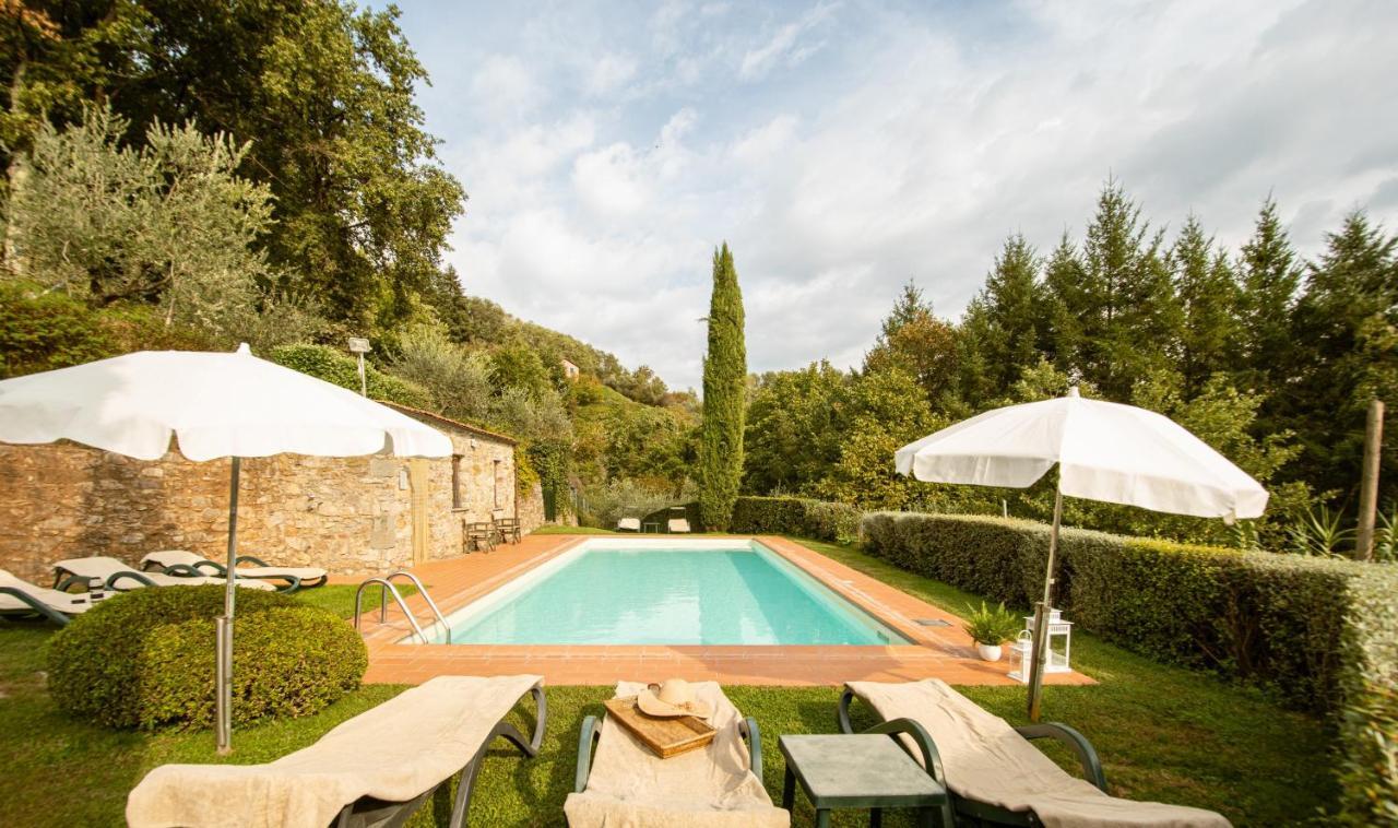 Casetta Di Butia, Ginestra Apartment With Swimming Pool Borgo a Mozzano Εξωτερικό φωτογραφία