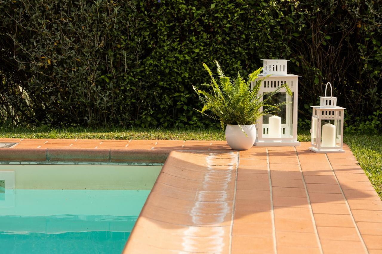 Casetta Di Butia, Ginestra Apartment With Swimming Pool Borgo a Mozzano Εξωτερικό φωτογραφία