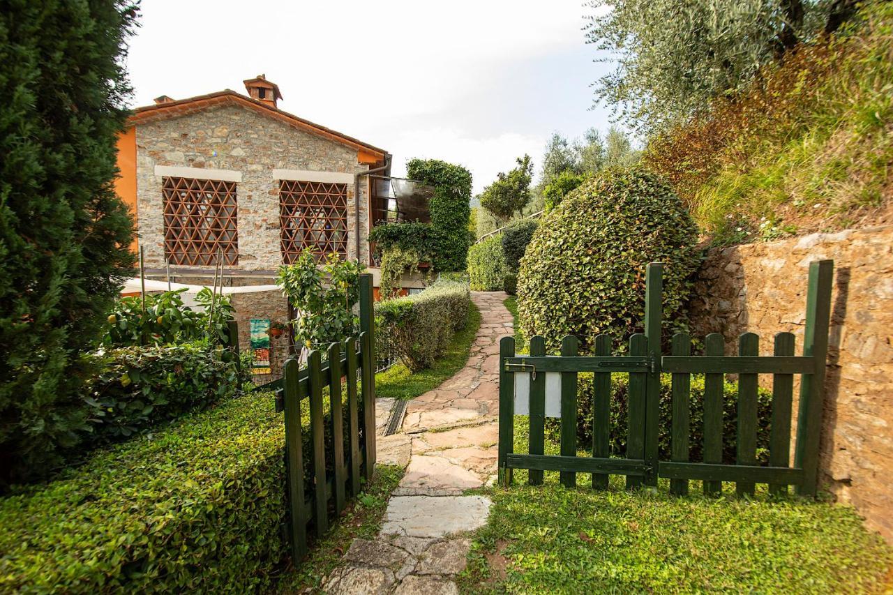 Casetta Di Butia, Ginestra Apartment With Swimming Pool Borgo a Mozzano Εξωτερικό φωτογραφία