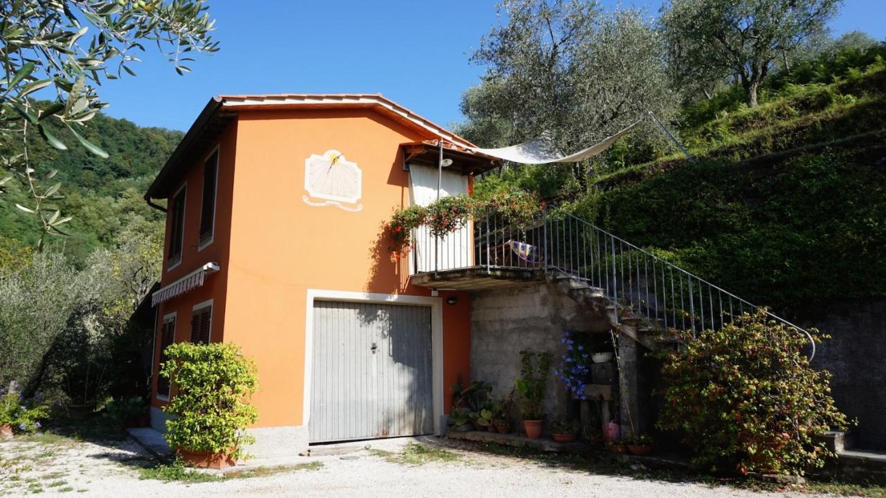 Casetta Di Butia, Ginestra Apartment With Swimming Pool Borgo a Mozzano Εξωτερικό φωτογραφία
