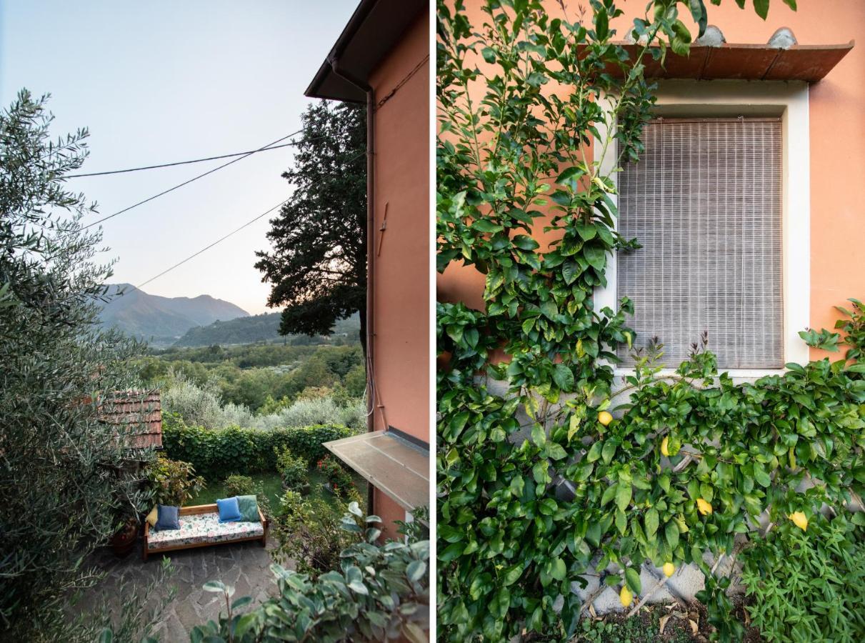 Casetta Di Butia, Ginestra Apartment With Swimming Pool Borgo a Mozzano Εξωτερικό φωτογραφία