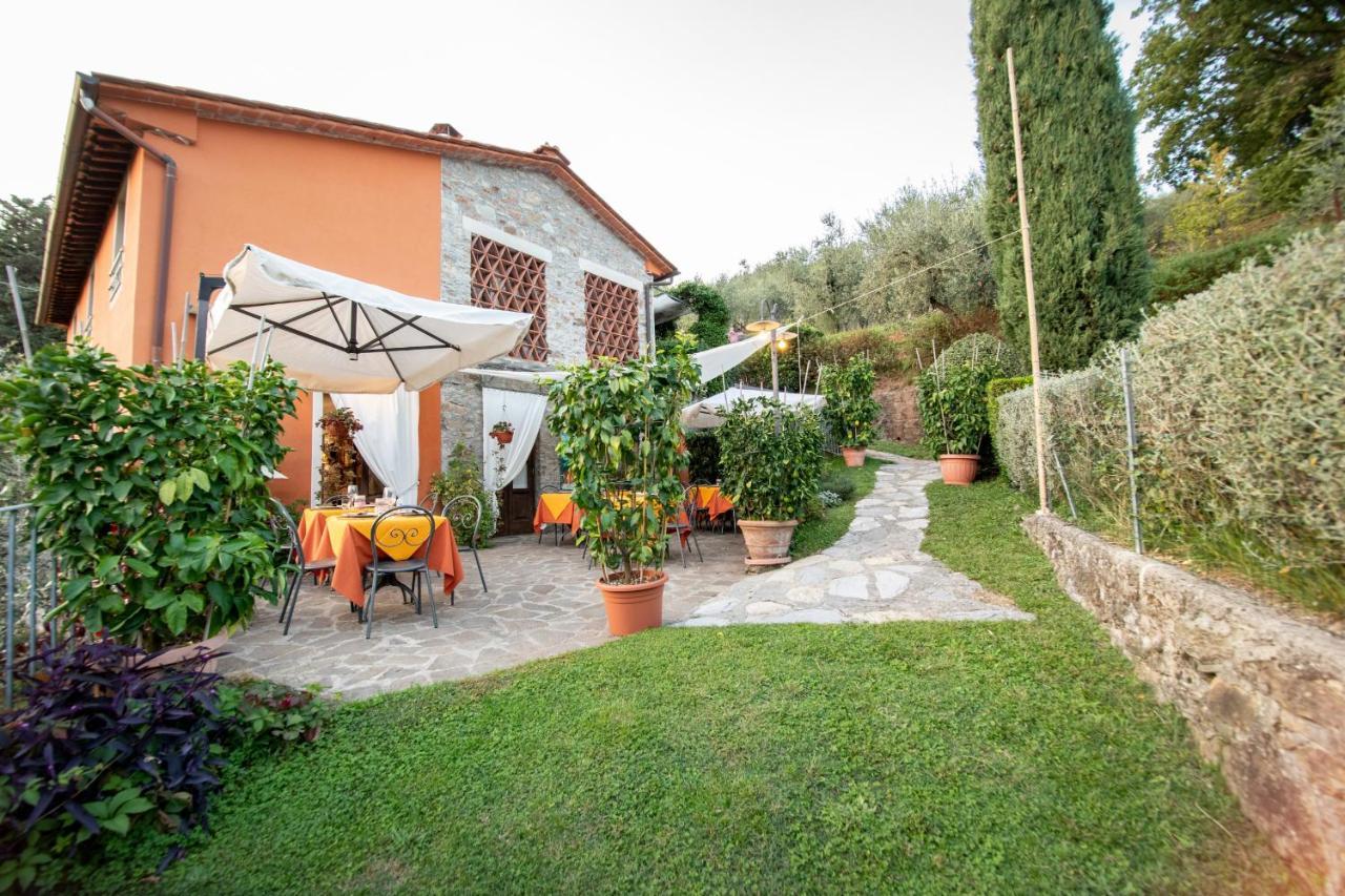 Casetta Di Butia, Ginestra Apartment With Swimming Pool Borgo a Mozzano Εξωτερικό φωτογραφία