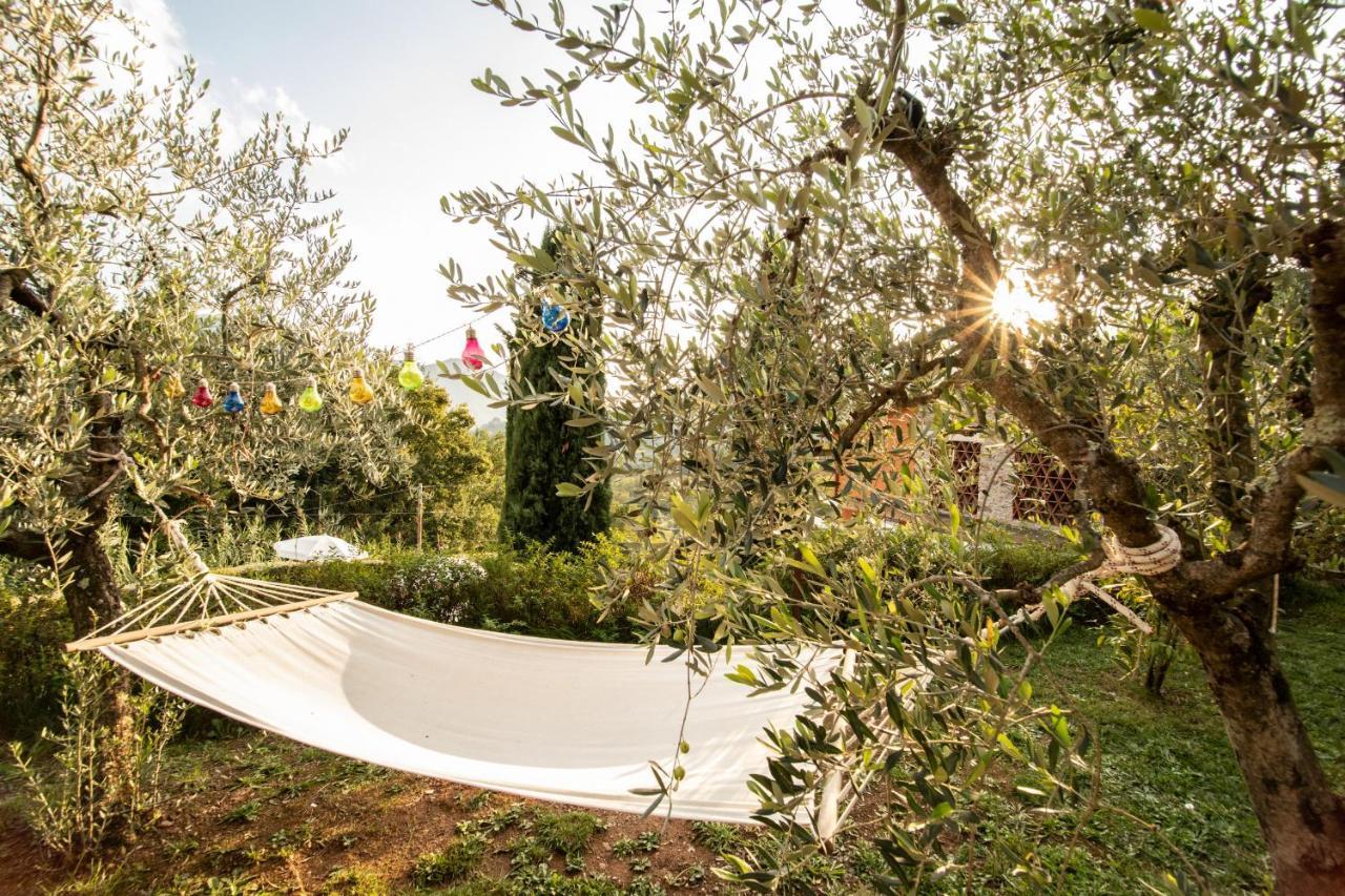 Casetta Di Butia, Ginestra Apartment With Swimming Pool Borgo a Mozzano Εξωτερικό φωτογραφία