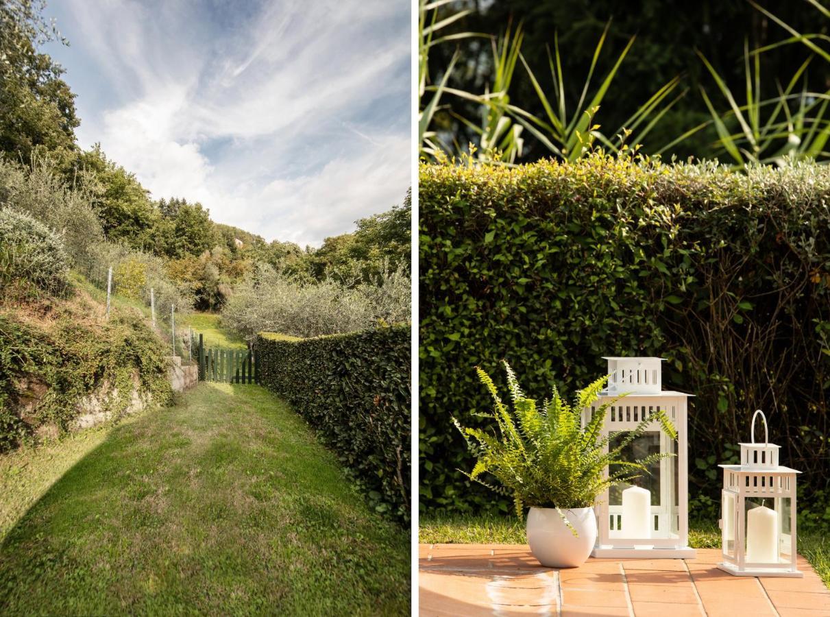 Casetta Di Butia, Ginestra Apartment With Swimming Pool Borgo a Mozzano Εξωτερικό φωτογραφία