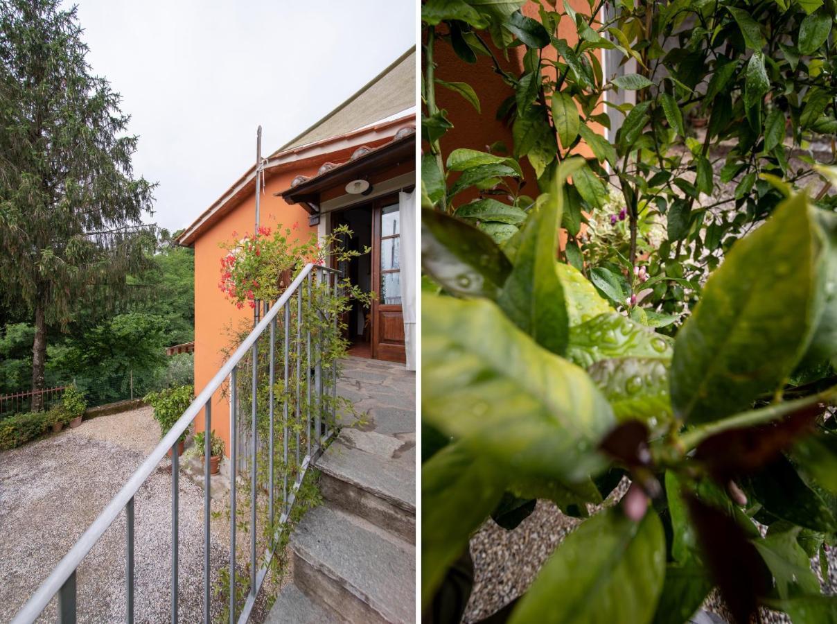 Casetta Di Butia, Ginestra Apartment With Swimming Pool Borgo a Mozzano Εξωτερικό φωτογραφία