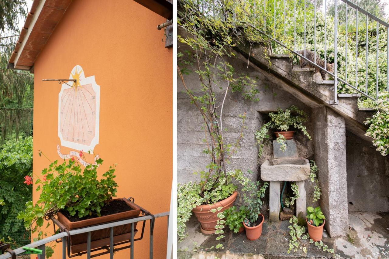 Casetta Di Butia, Ginestra Apartment With Swimming Pool Borgo a Mozzano Εξωτερικό φωτογραφία
