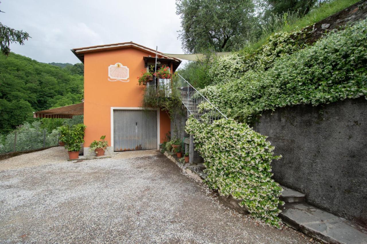 Casetta Di Butia, Ginestra Apartment With Swimming Pool Borgo a Mozzano Εξωτερικό φωτογραφία