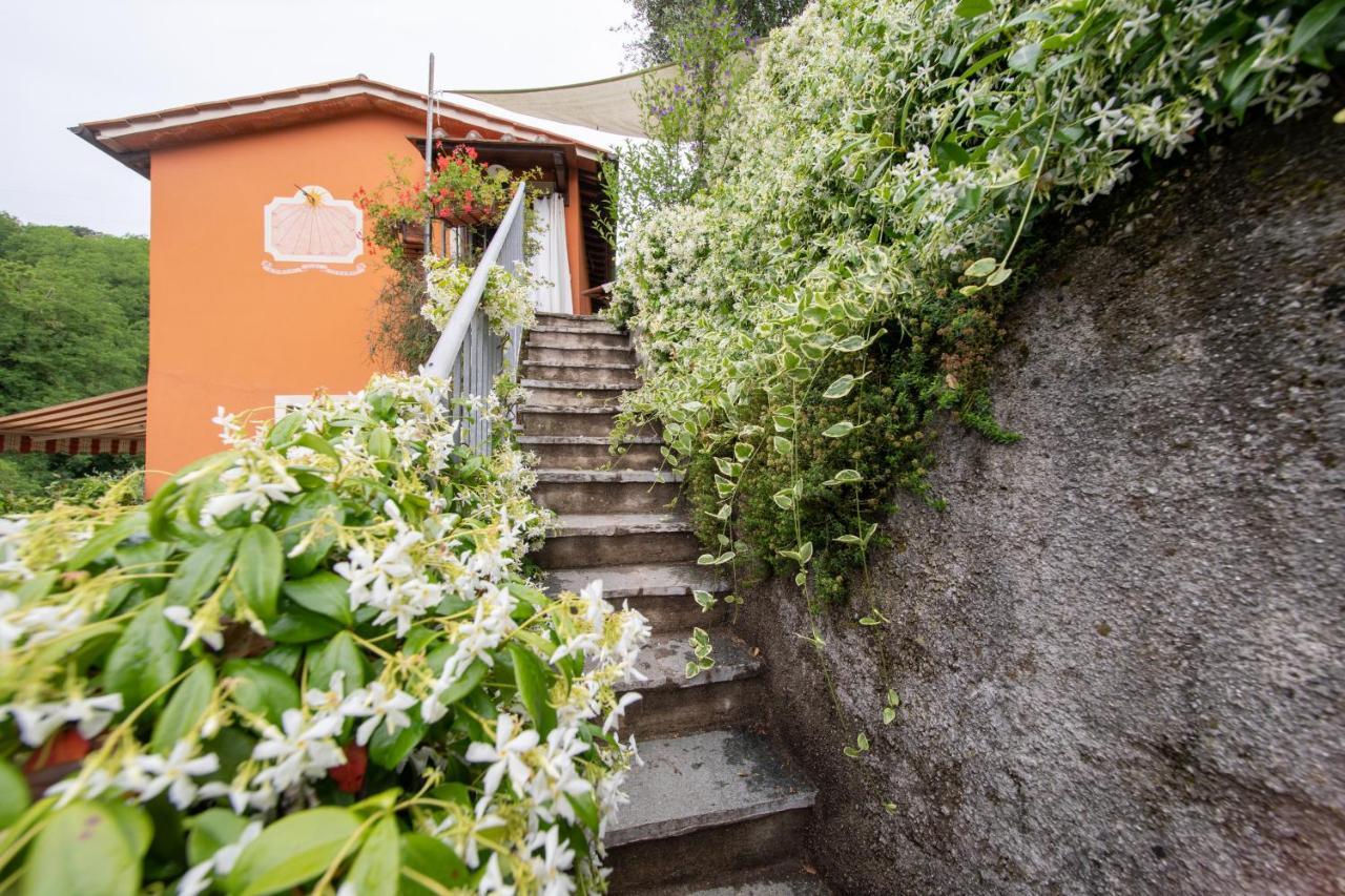 Casetta Di Butia, Ginestra Apartment With Swimming Pool Borgo a Mozzano Εξωτερικό φωτογραφία