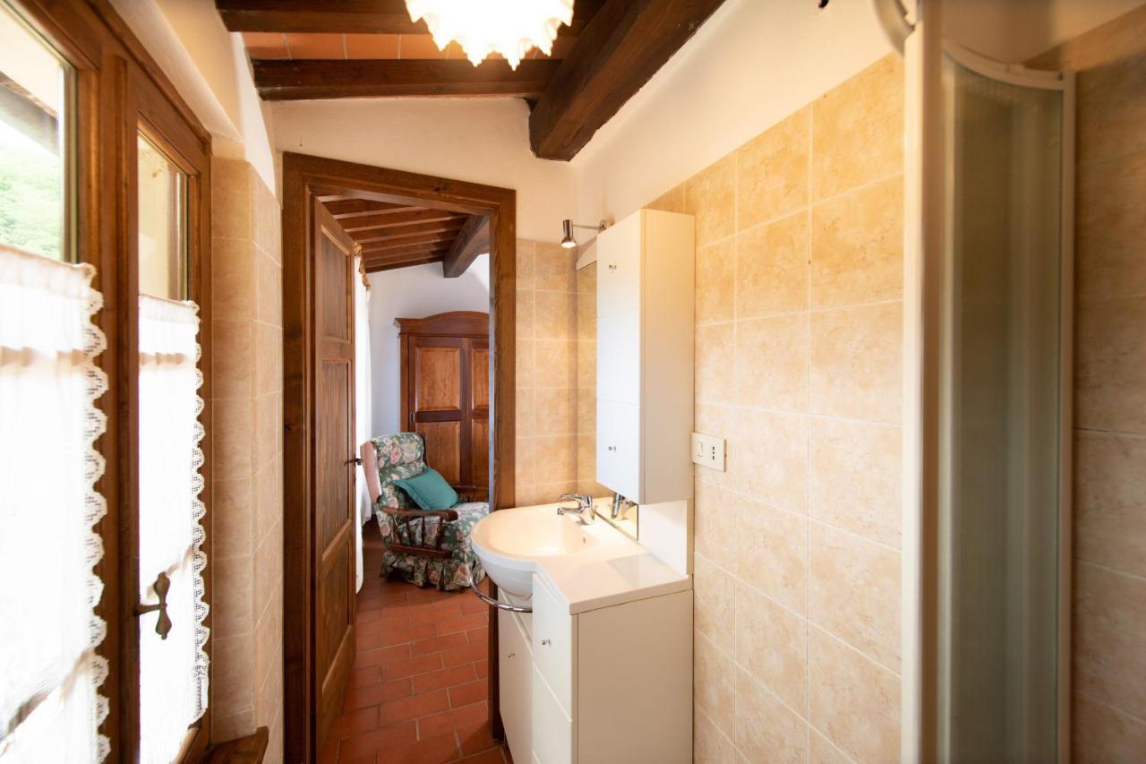 Casetta Di Butia, Ginestra Apartment With Swimming Pool Borgo a Mozzano Εξωτερικό φωτογραφία